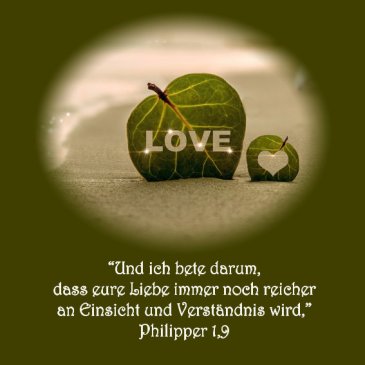 Heiraten Hochzeit Bibelvers Philipper 1/9