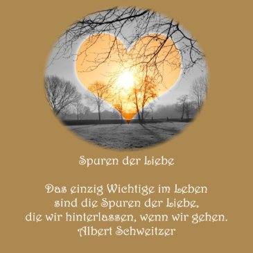 Heiraten Hochzeit Spruch der Woche Albert Schweitzer