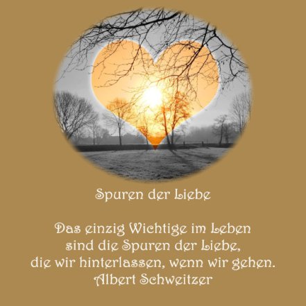 Heiraten Hochzeit Spruch der Woche Albert Schweitzer