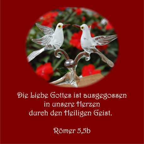 Heiraten und Hochzeit - Bibelvers der Woche, Römer 5,5b